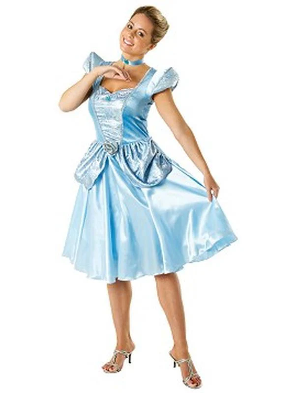 Cinderella Adult Size L - Image 4