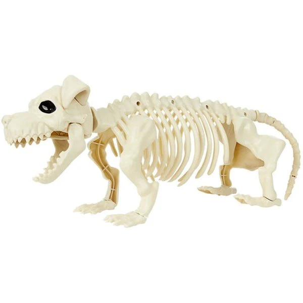 Dog Skeleton Prop