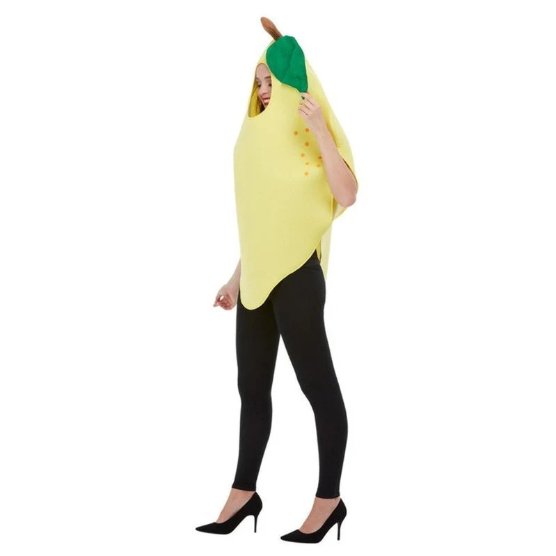 Lemon Costume - Image 3