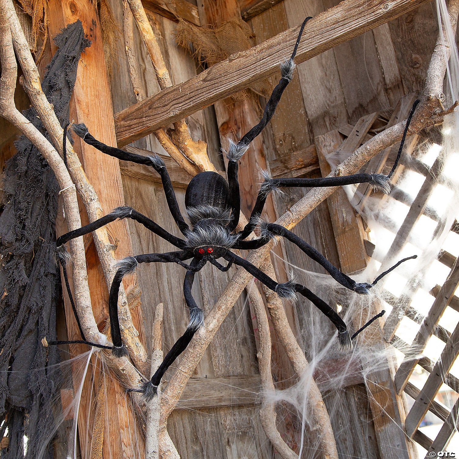 Poseable Hairy Joints Black Wolf Spider