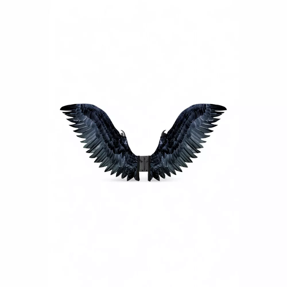 Raven Cosplay Wings - Image 2