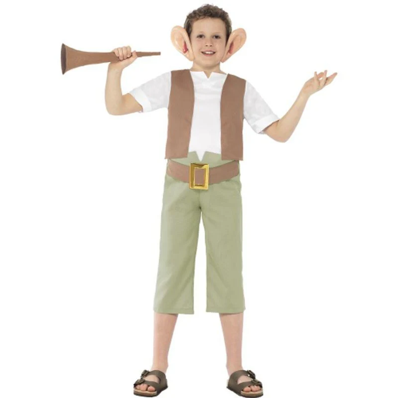 Roald Dahl Bfg Costume