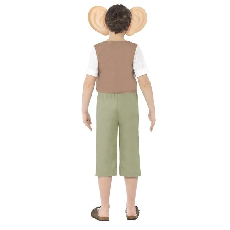 Roald Dahl Bfg Costume - Image 2