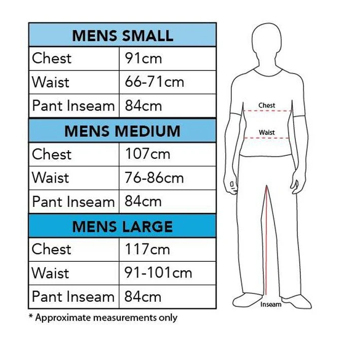 Robin Deluxe Muscle Chest Costume Size Small - Image 2