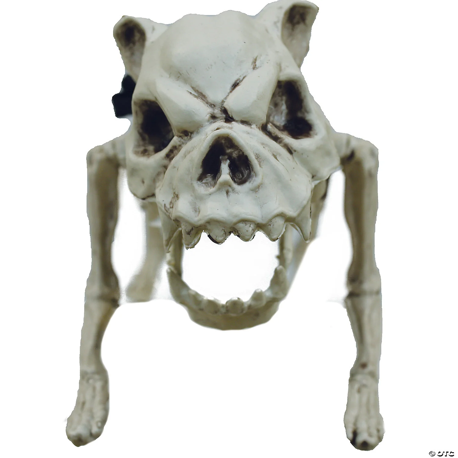 Skeleton Dog - Image 2