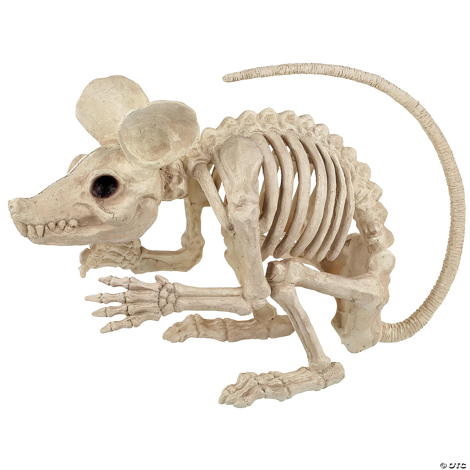 Skeleton Rat Attack