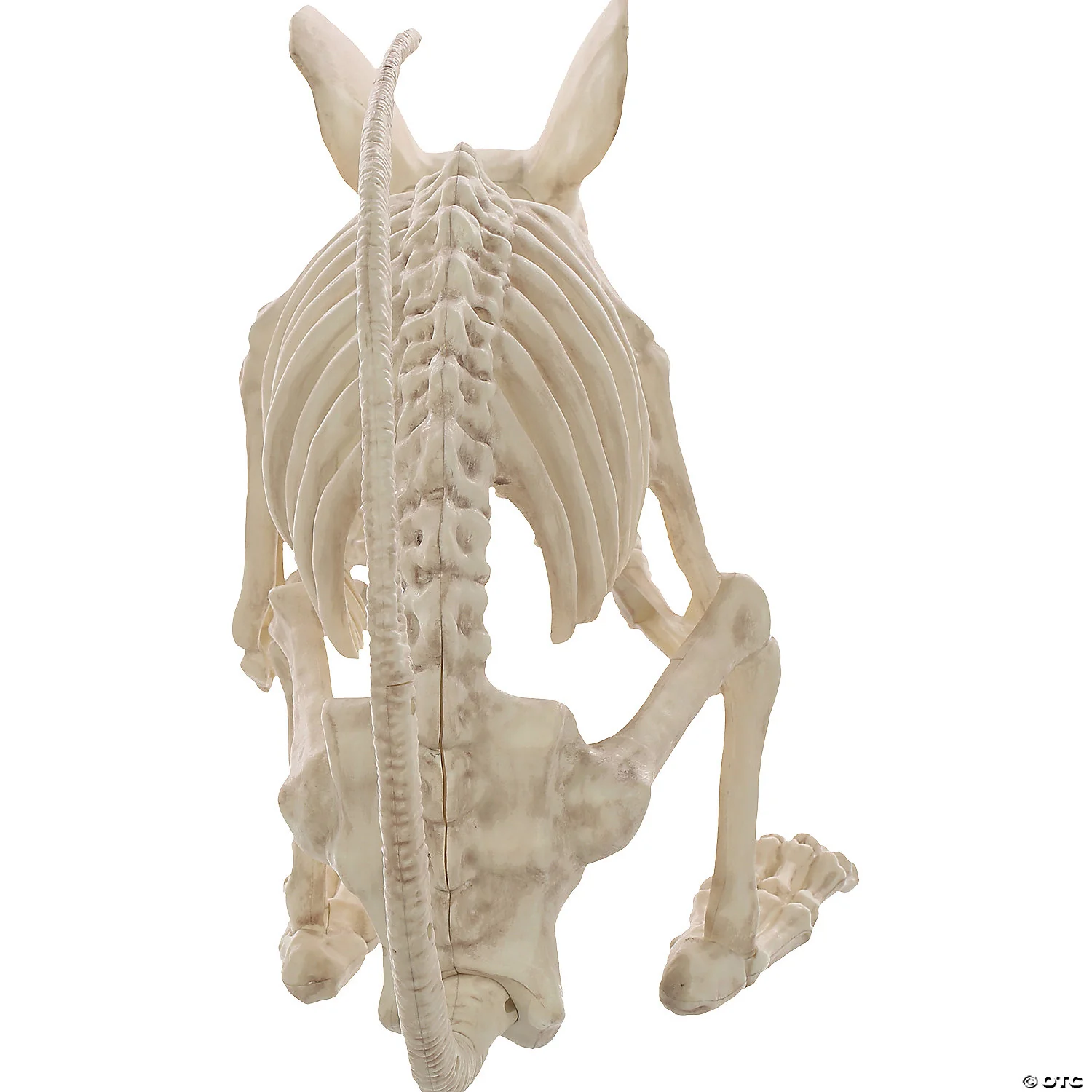 Skeleton Rat Attack - Image 2