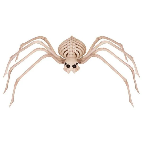 Skeleton Spider Fleshless